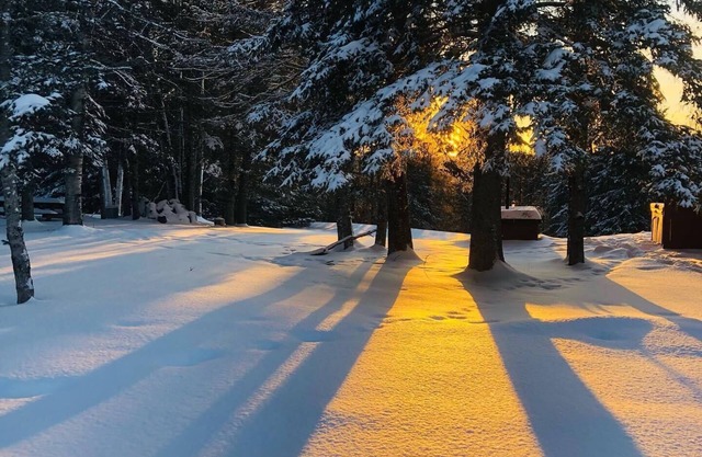 Picturesque Maine Cabin with Lake Access on 33 Acres