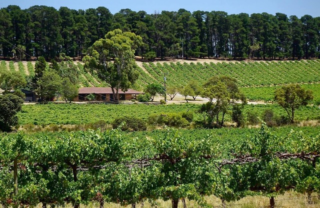 Picturesque Vineyard Farmhouse Nestled on 40 Acres