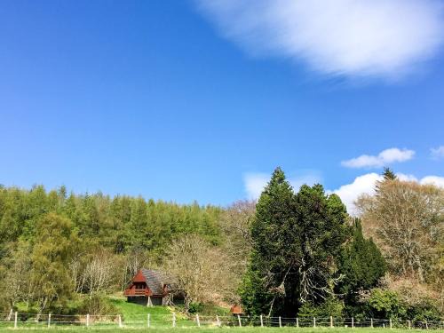 Pine Lodge - Uk7049