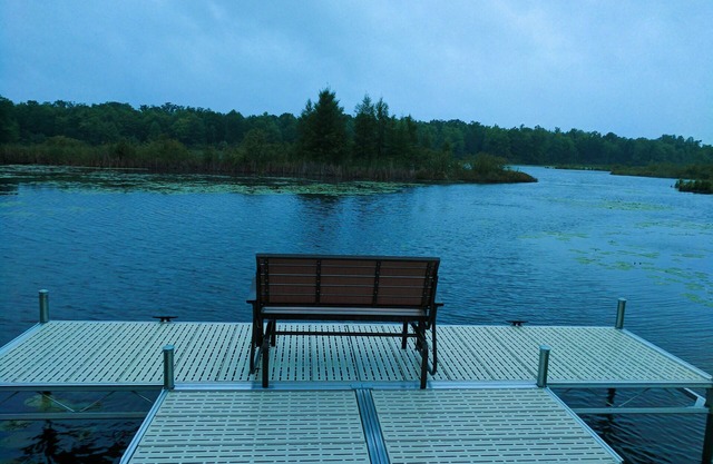 Sentiers de pin à MyLakeLodge