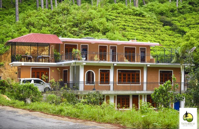 Pine Trees Homestay