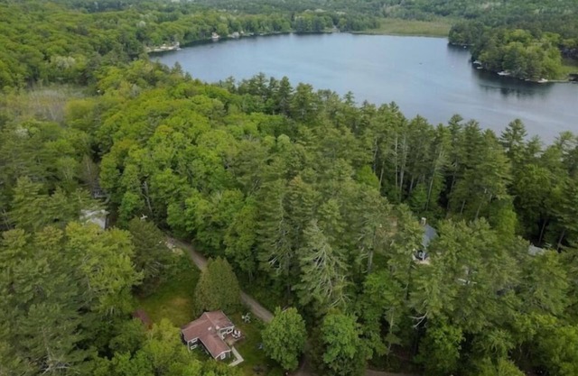 Pine View Cottage, Berkshires Getaway Lake Buel w/ lake rights. Pet friendly!