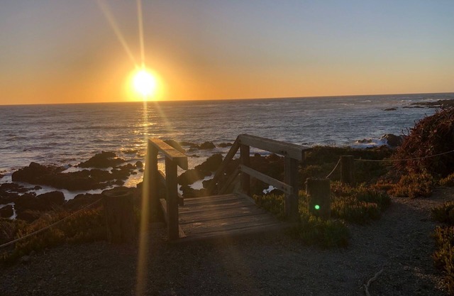 Pines by the Sea - Magical Cambria Retreat with King En-Suite!