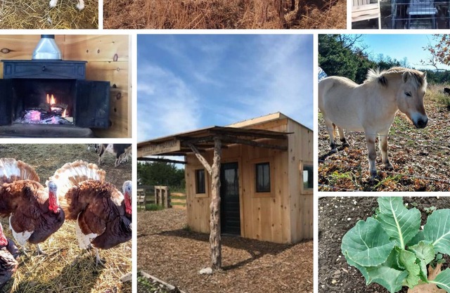 Pioneer Cabin and Wood Fired Sauna on Our Sustainable Off Grid Educational Farm