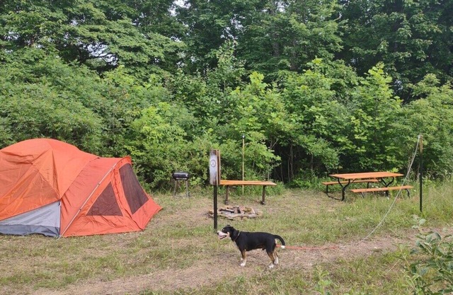 Pitch a Tent or Park a Camper/RV/Trailer at this ART and Nature Themed Property.
