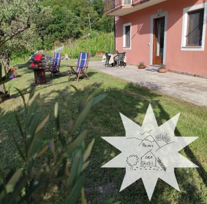 Pizinno CasaPonzi