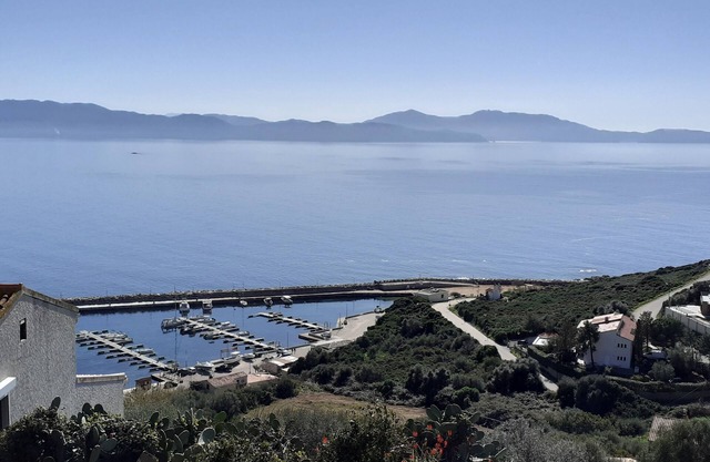 Agréable studio avec mezzanine, magnifique vue sur le Port de Cargèse