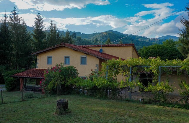 Podere il Pino