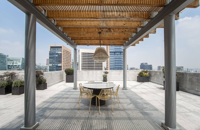 Polanco Lovely Apartment *Amazing Amenities*