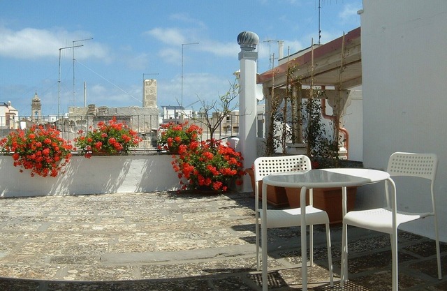 Polignano a Mare, maison avec terrasse Red Flowers