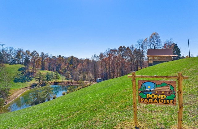 Pond Paradise at Red River Gorge