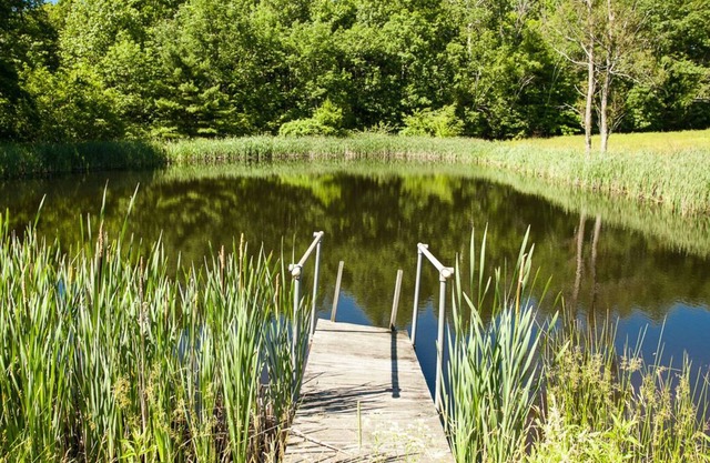 Pond View Cottage in Old Chatham RÉDUCTIONS HEBDOMADAIRES ET MENSUELLES OFFERTES !!!!