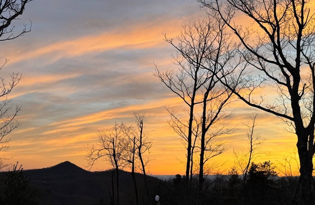 Dog Friendly🐕Mtn Views⛰️ -Coffee/Tea Bar -Fire Pit🔥2 King Beds