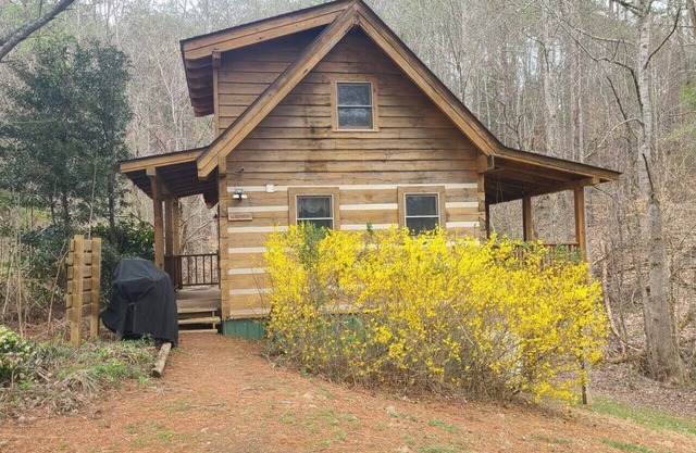 Porch Swing, Jacuzzi Tub, Wi-Fi, Dogs ok, near NP