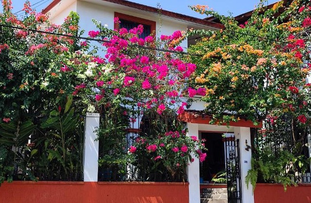 Posada Bugambilias