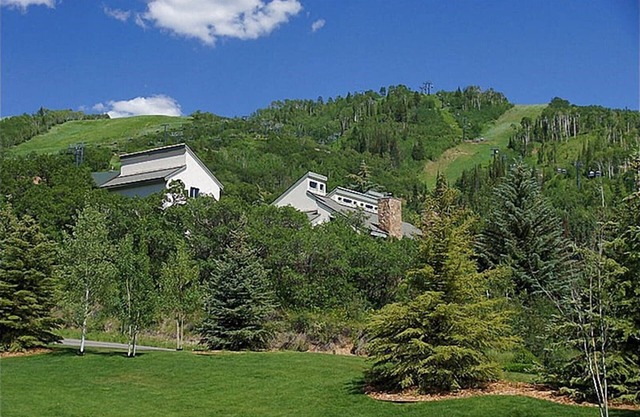 Luxueux et Animaux acceptés, bain à remous privé sur le pont avec vue sur la montagne (202854-1452)