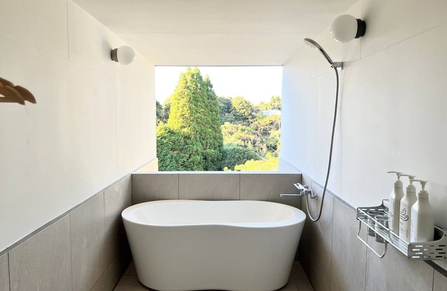 Premium Suite 3 adults plan Top quality dome tent / Isumi City Chiba