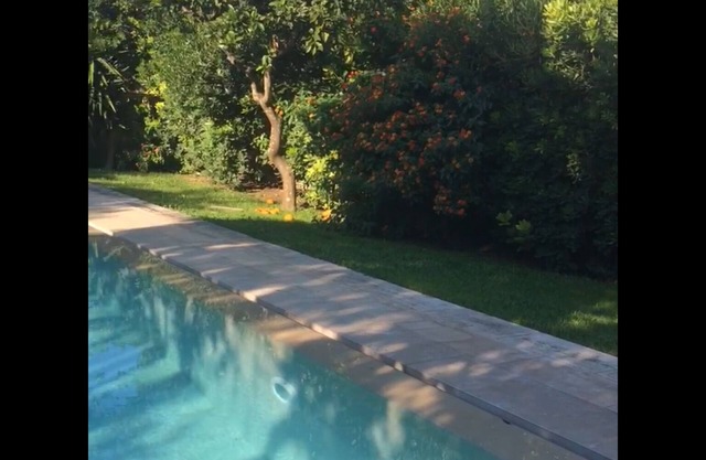 Charming house with garden and private pool