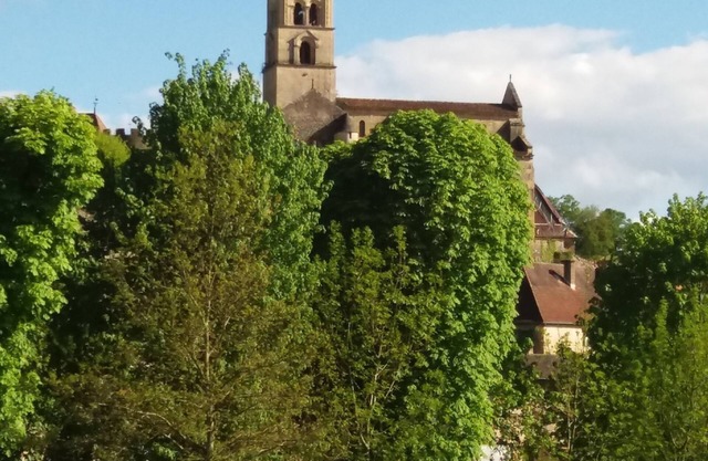 Prieuré du 18ème siècle chaleureux et spacieux tout confort - Bourgogne sud