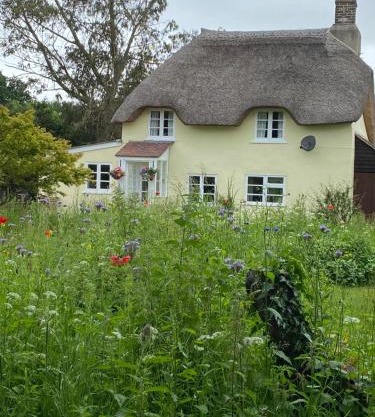 Primrose Cottage