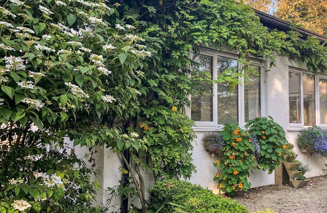 PRIMROSE END, pet friendly, country holiday cottage in Jacobstow