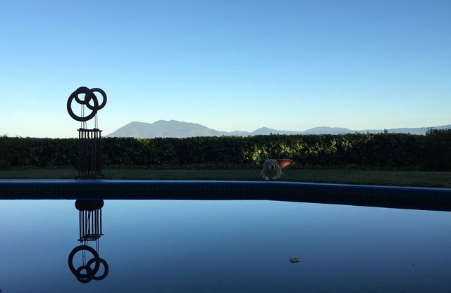 Privé composé de 3 acres avec piscine d'eau salée, un bain à remous et une vue !!!