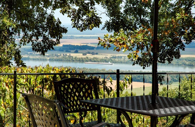 Vues époustouflantes sur la rivière Arkansas depuis Edge House!