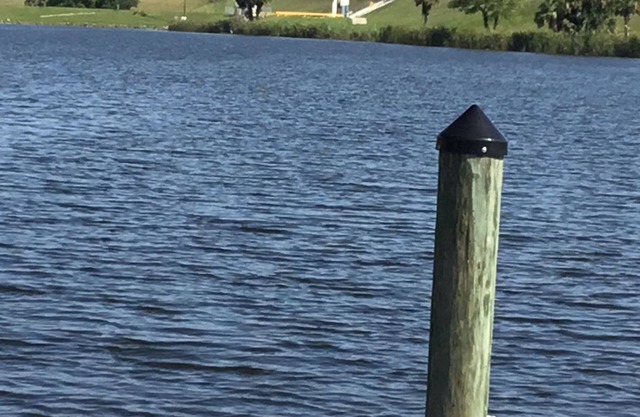 À quelques minutes du lac O, rampe de mise à l'eau privée, grand parking, adapté aux familles.