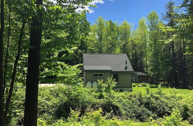 Cabane privée dans les bois, À quelques minutes d'Okemo, Animaux acceptés