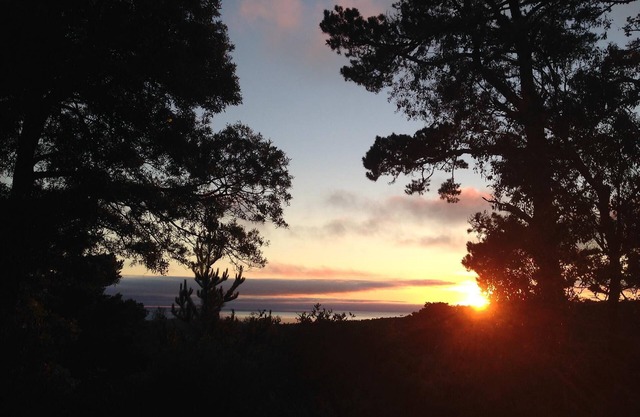 Privé Carmel Woods, Dog Friendly, par Monterey, Pebble Beach, Big Sur
