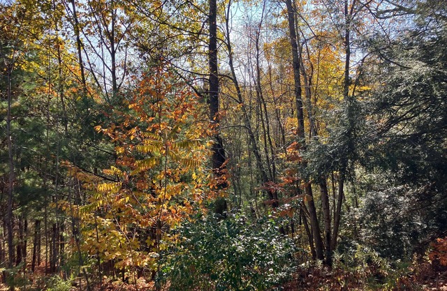 Private country home minutes from the Berkshires