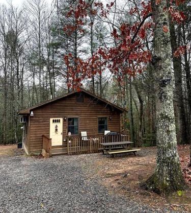 Private cozy cabin in the woods with great view
