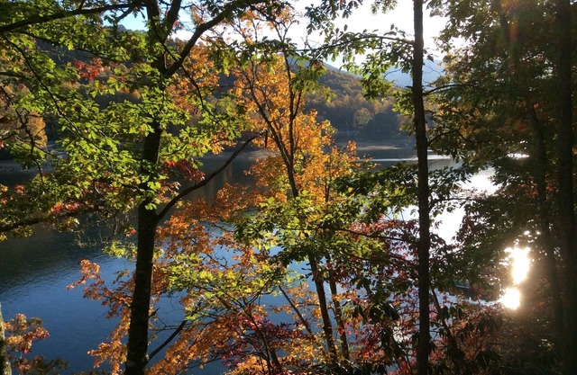 Chalet rustique des Appalaches: quai privé / au bord du lac / intimité sur le lac Nantahala!