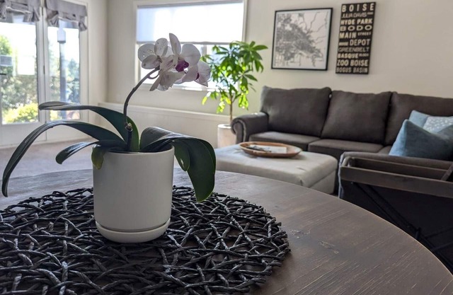 Private unit with city and mountain views. Walk to the River or Foothills!