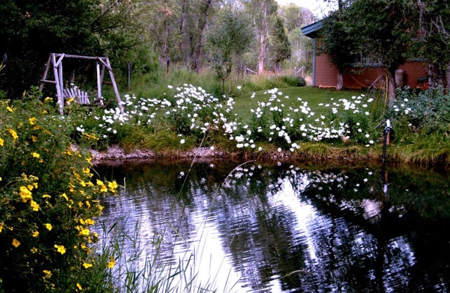 Maison privée, ruisseau, étang, paysage serein, calme et époustouflant