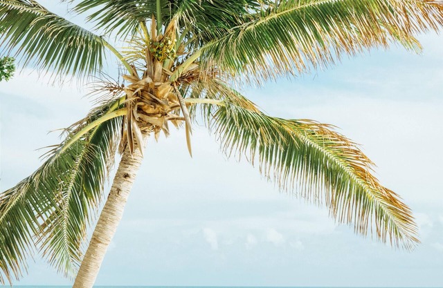 Maison privée avec accès à la plage, dans la plus belle des Florida Keys