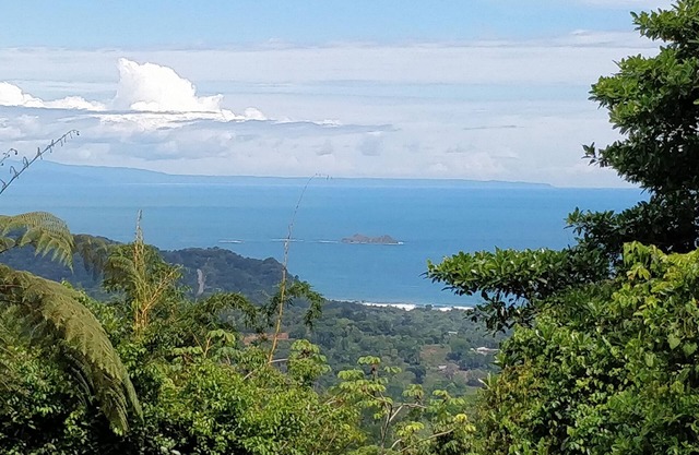 Jungle Retreat - 43 Acres - 2230sf Expérience Nature W / Comfort