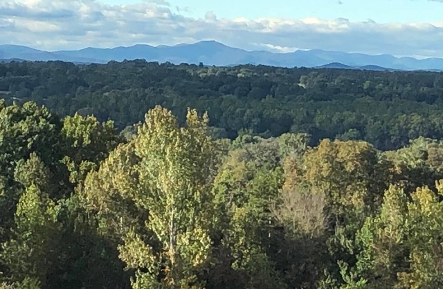 Private lake, cozy cottage near hiking, waterfalls, rafting, state parks, Helen