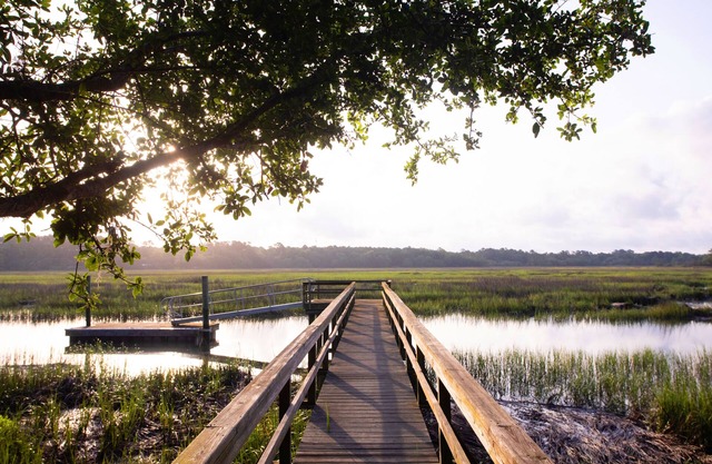 Private Low Country Waterfront Oasis with dock only 10 min to Beaufort