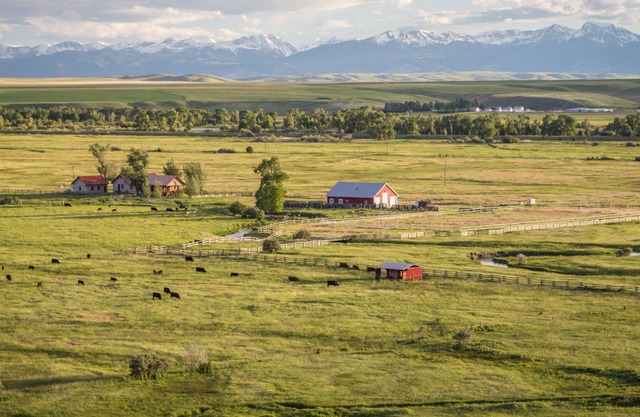 Accès privé à la rivière Madison depuis cette maison de ranch à 30 minutes de Bozeman