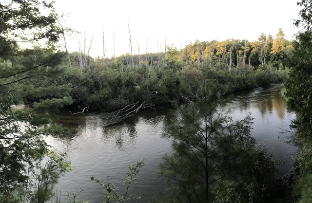 Private peaceful Copper top cabin on the world renowned Pere Marquette River!
