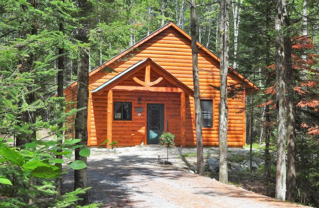 Cabine privée pour animaux de compagnie dans les bois avec fosse de feu de camp