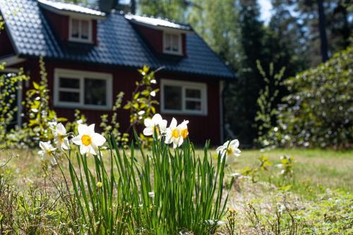 Private Plan Torpet Cabin