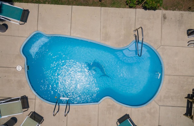 Private Pool🏊‍♂️ Hot Tub⛱ Walk or Bike to Beach🌊Soundview, Privacy Fence