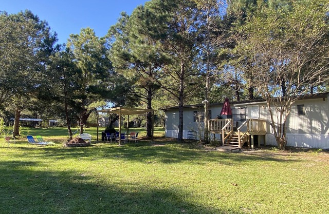 Chalet entre pins et à côté de l'étang