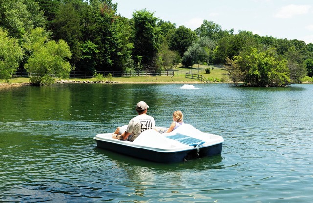 Private Smoky Mountain Retreat - Heated Pool, Fishing Pond & Event Space!