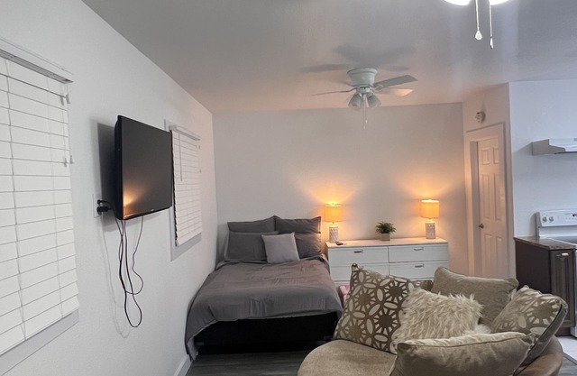 Private Studio in Lutz—5 mins from USF!