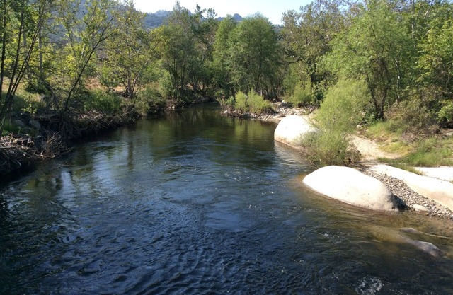 NOUVELLEMENT OUVERT !! Cabine en bord de rivière haut de gamme, 6 couchages; commodités étonnantes à éblouir