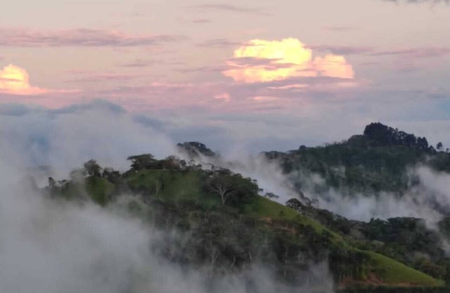 Private Villa Pool and Sauna on 5 acre Coffee Farm in the Clouds of Costa Rica