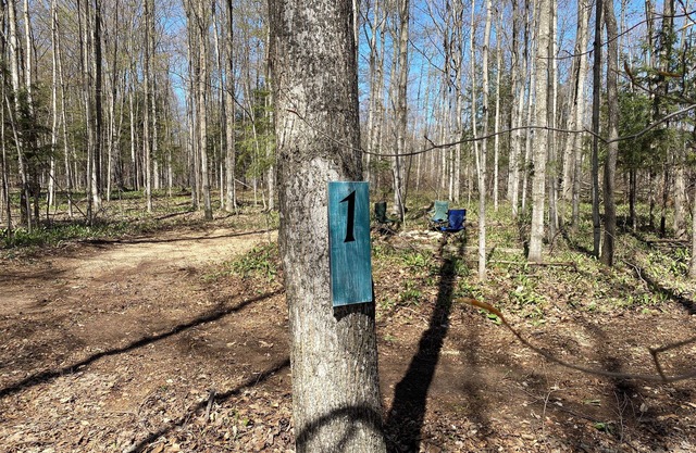 Private Wooded Campsite for Tents or Small RV's #2